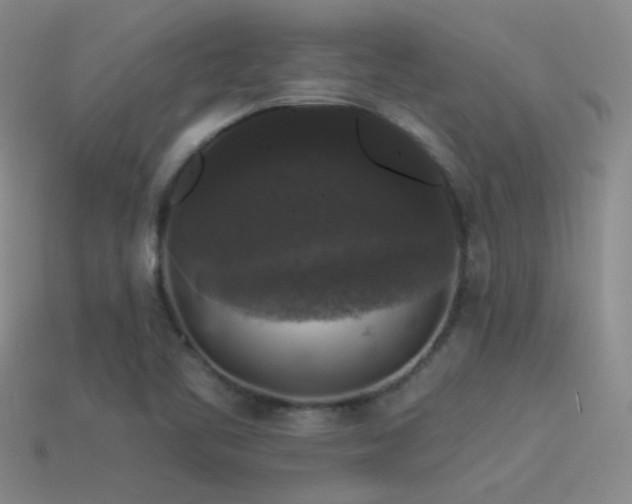 X0000115481461200911061208