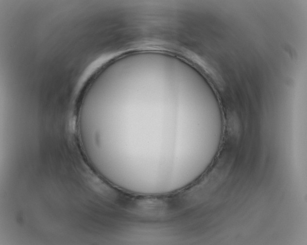 X0000115481462200911061208