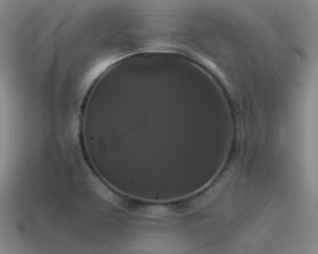 X0000115481463200911061208