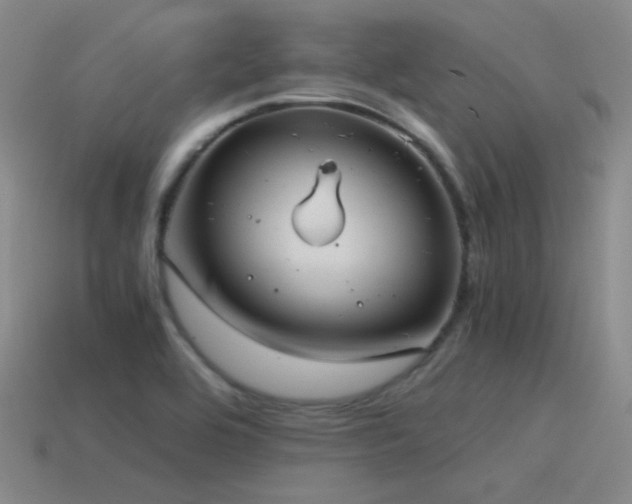 X0000115481464200911061208