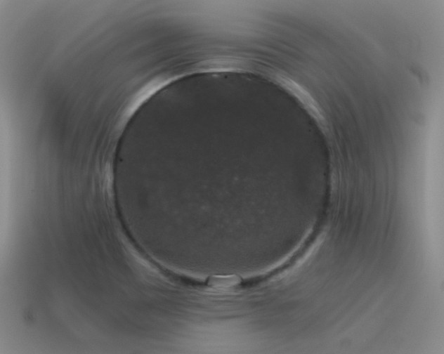 X0000115481465200911061208