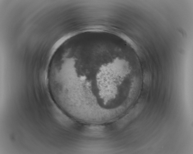 X0000115481466200911061208