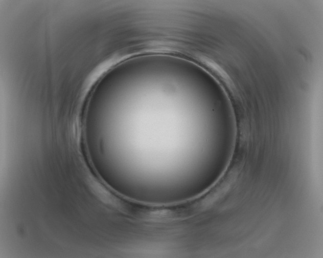 X0000115481467200911061208