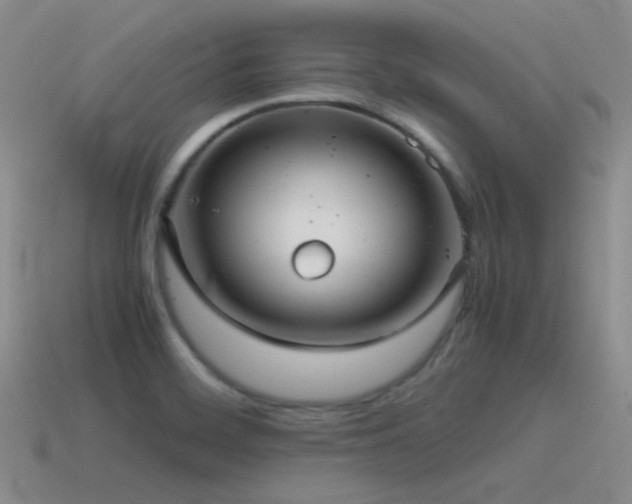 X0000115481468200911061208