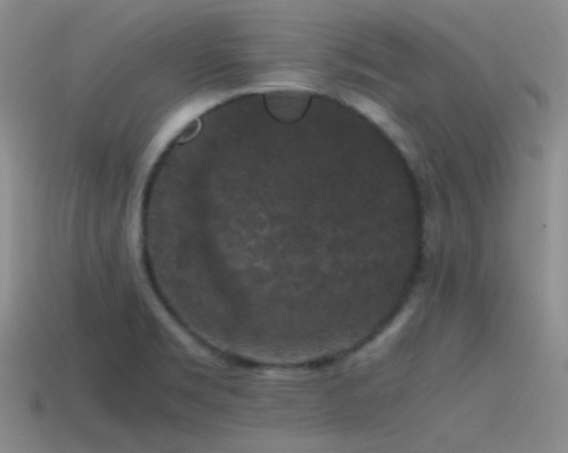 X0000115481469200911061208