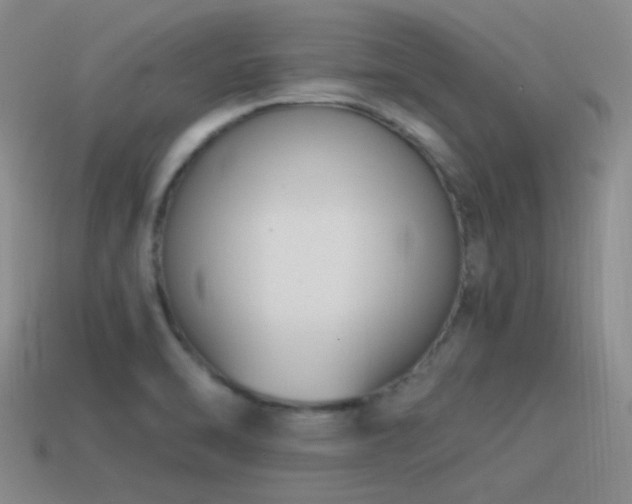 X0000115481470200911061208