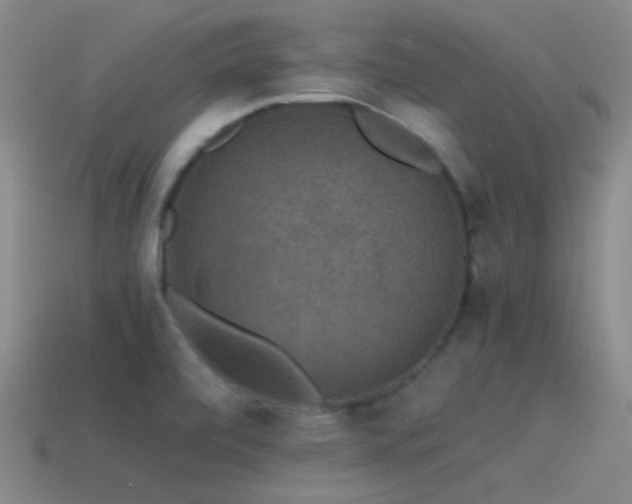 X0000115481472200911061208