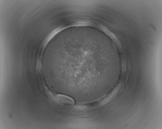 X0000115481473200911061208