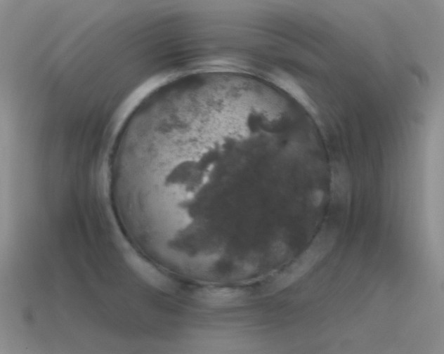 X0000115481474200911061207