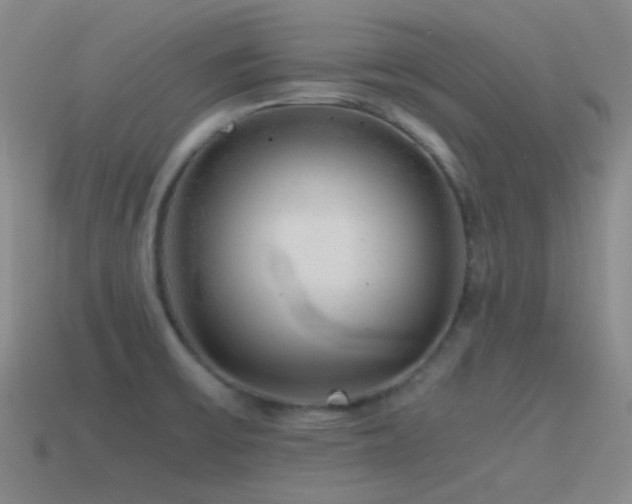 X0000115481475200911061207