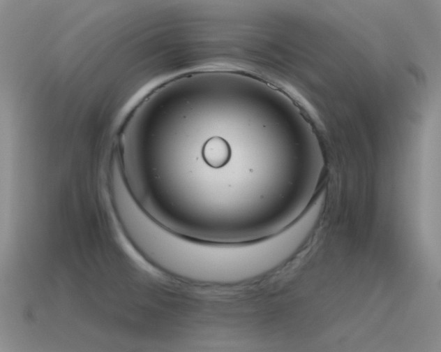 X0000115481476200911061207