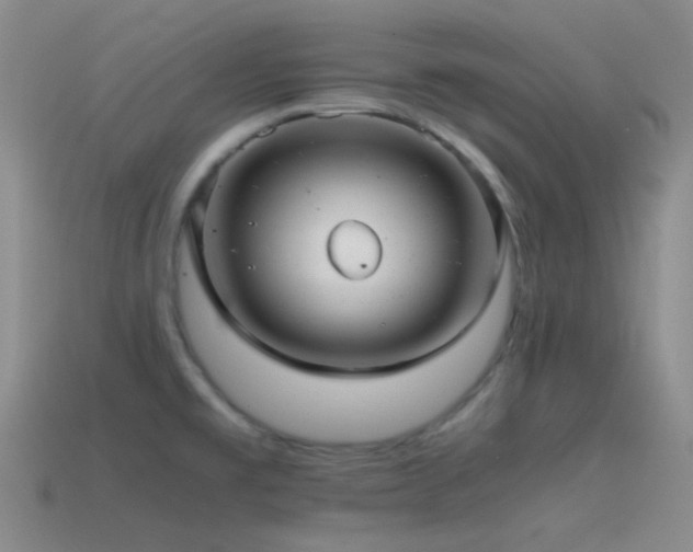 X0000115481477200911061207