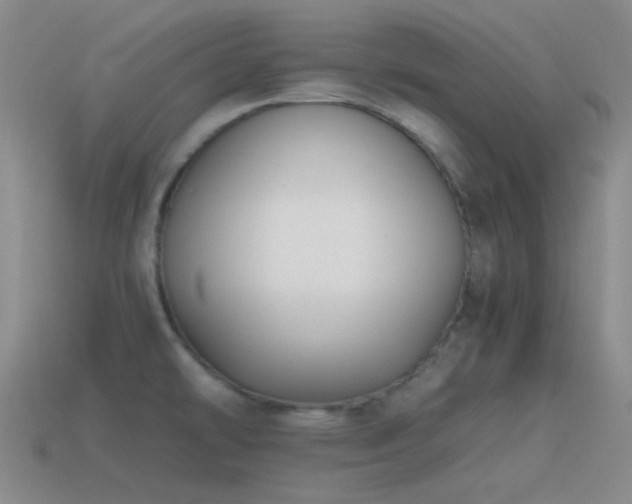 X0000115481478200911061207