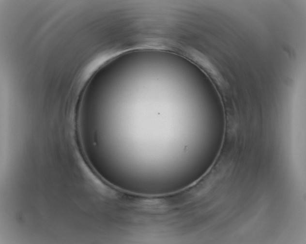 X0000115481479200911061207