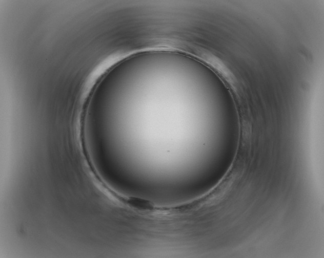 X0000115481480200911061207