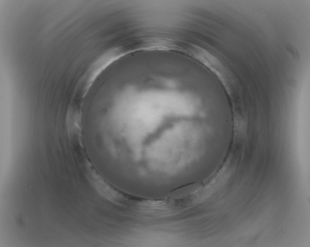 X0000115481481200911061207