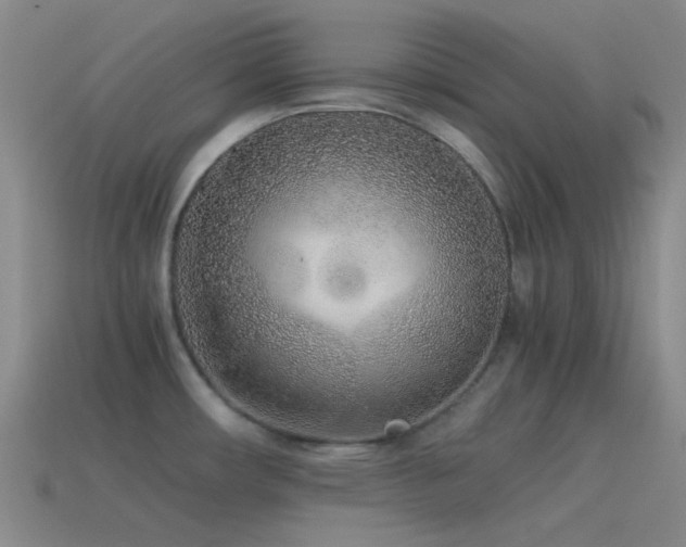 X0000115481482200911061207