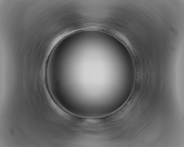 X0000115481483200911061207
