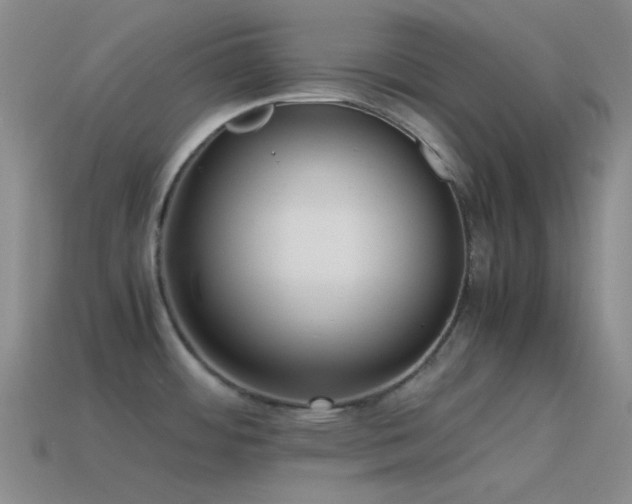 X0000115481484200911061207
