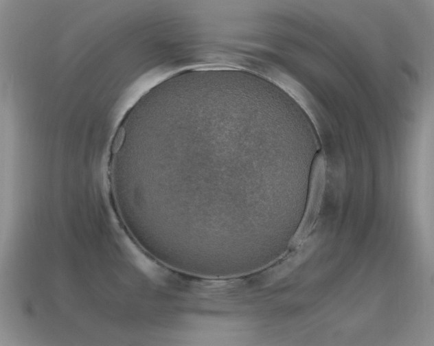 X0000115481485200911061207