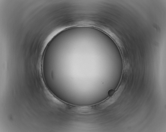 X0000115481486200911061207