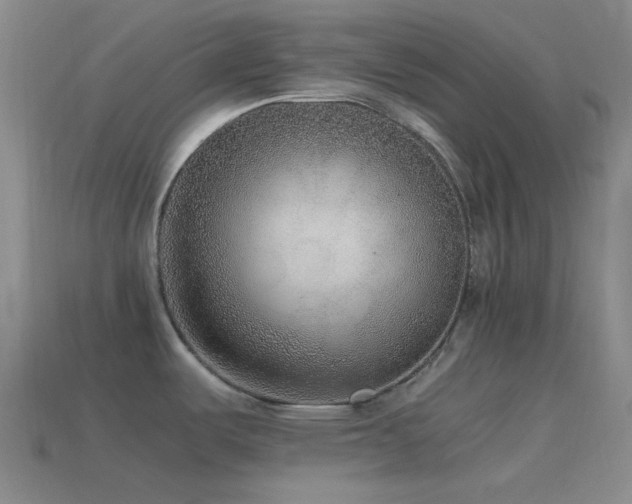 X0000115481487200911061207