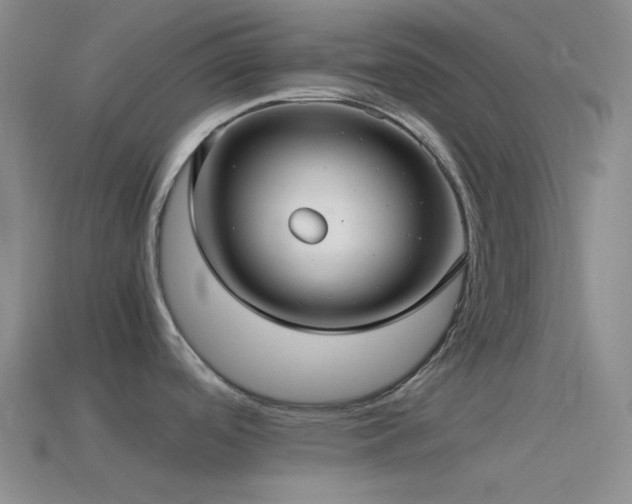 X0000115481488200911061207