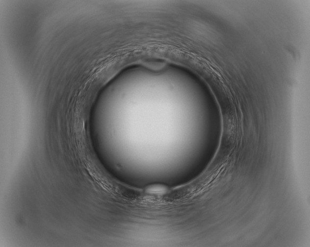 X0000115481489200911061207