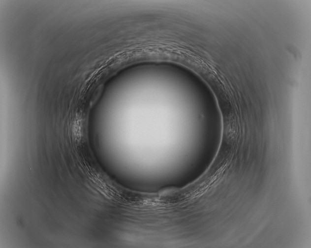 X0000115481490200911061207