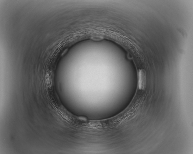 X0000115481491200911061207