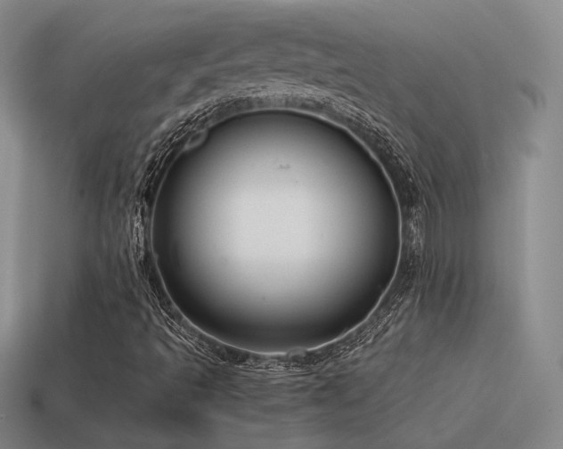 X0000115481493200911061207