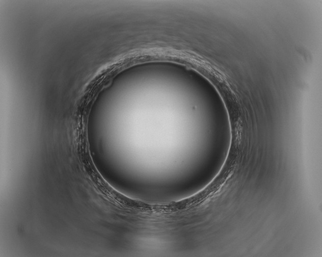X0000115481494200911061207
