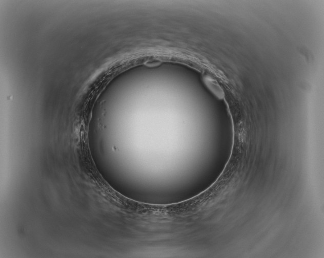 X0000115481495200911061207