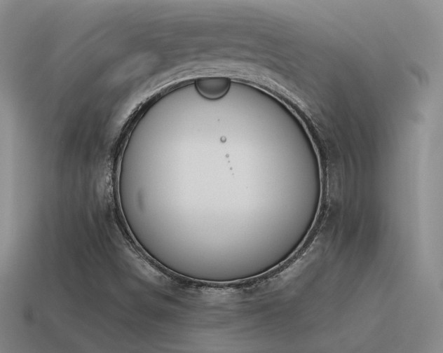 X0000115481498200911061207