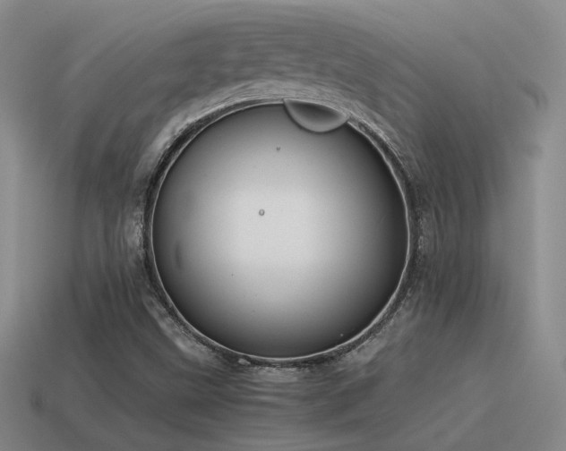 X0000115481499200911061207