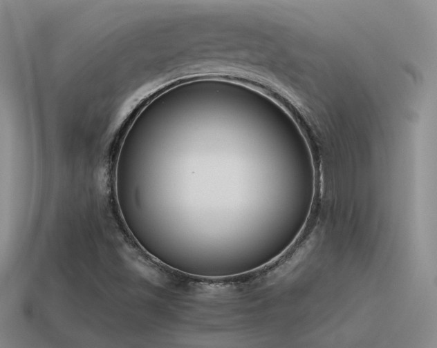 X0000115481501200911061207