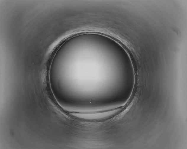 X0000115481502200911061207