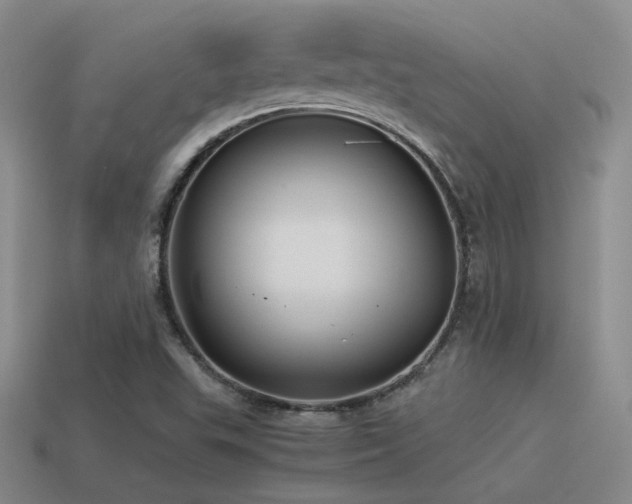 X0000115481503200911061207