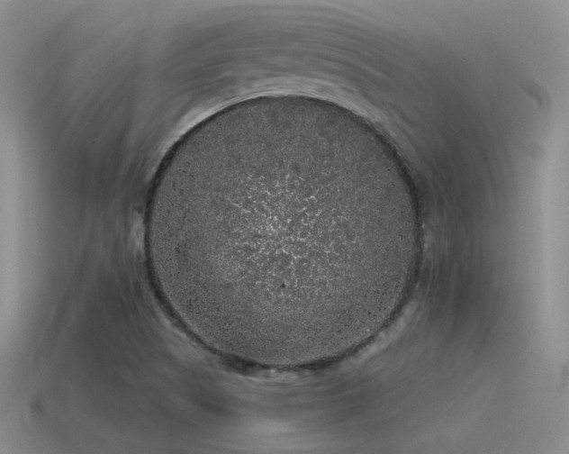 X0000115481505200911061207