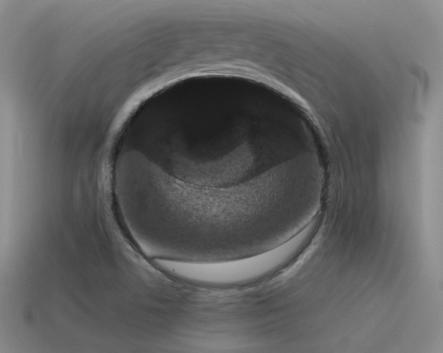 X0000115481506200911061207
