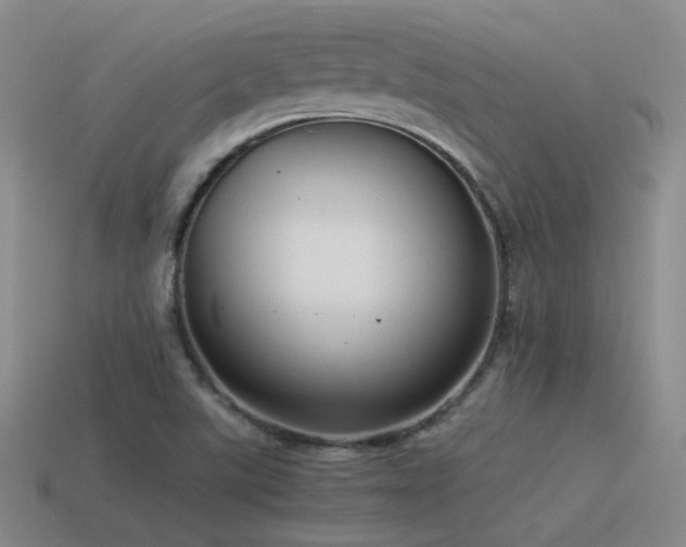 X0000115481507200911061207