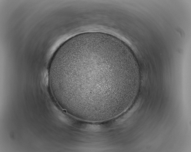 X0000115481509200911061207
