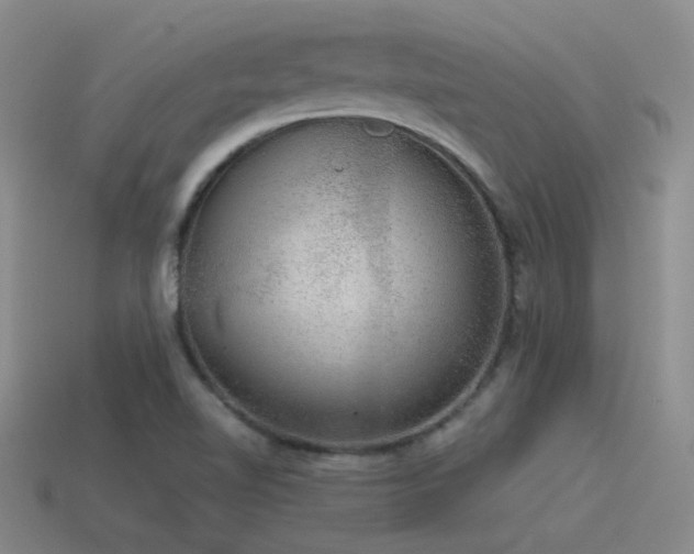 X0000115481510200911061207