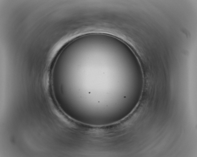 X0000115481511200911061207