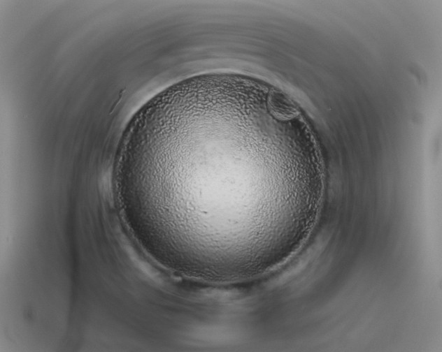 X0000115481513200911061207