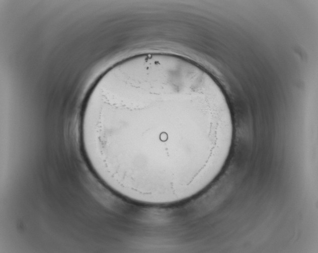 X0000115481514200911061207