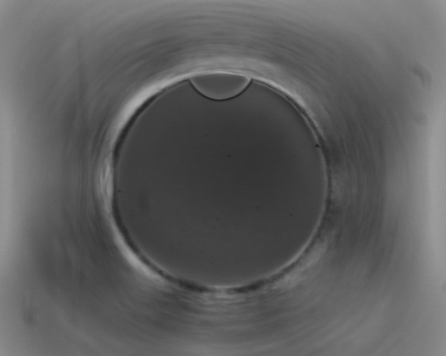 X0000115481515200911061207