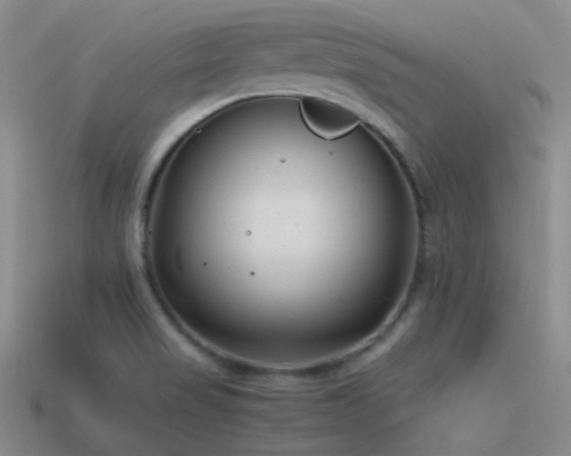 X0000115481517200911061207