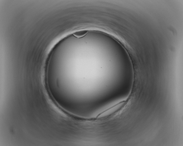 X0000115481518200911061207