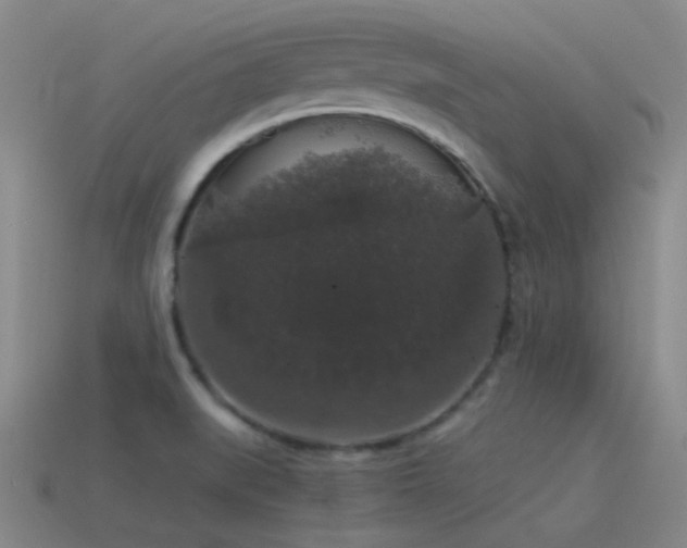 X0000115481519200911061207